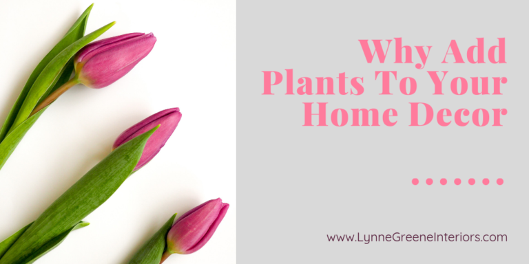 Why You Should Add Plants To Your Home Décor